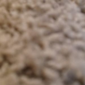 Meet your Posher, Nw